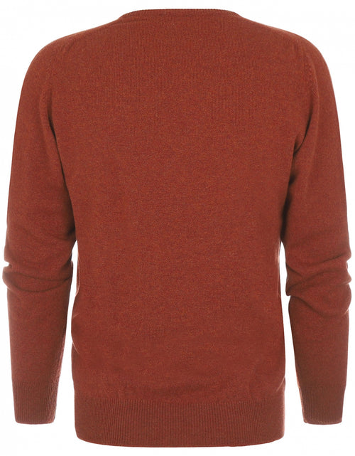 William Lockie V-hals Lamswol Pullover | Tiger