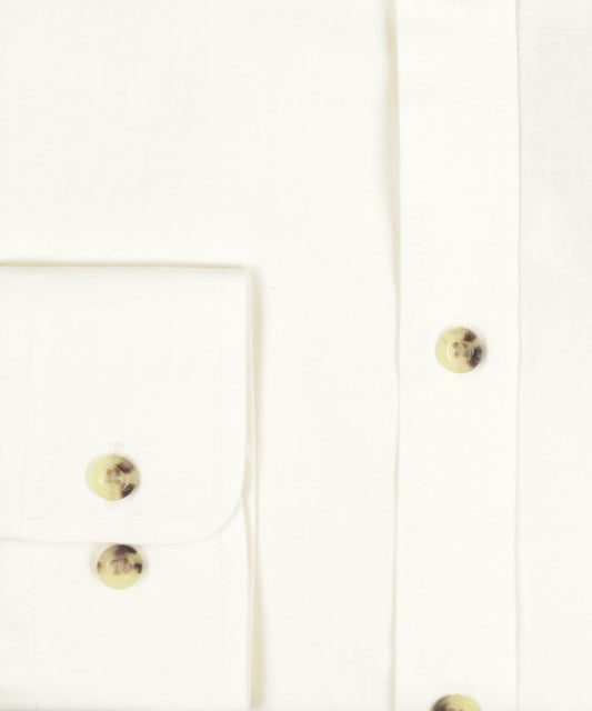 Shirt BD |