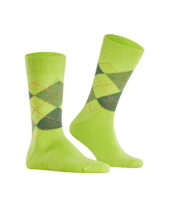 Preston heren sokken | Groen