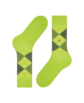 Preston heren sokken | Groen