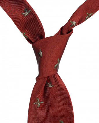 Kwalitatieve Zijden stropdas | Design