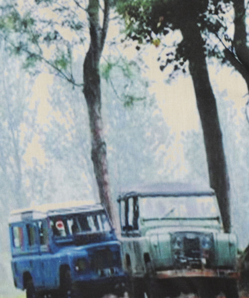 English Lumberjack | Bruin