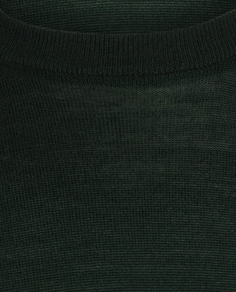 Pullover Merino wol ronde hals | Groen