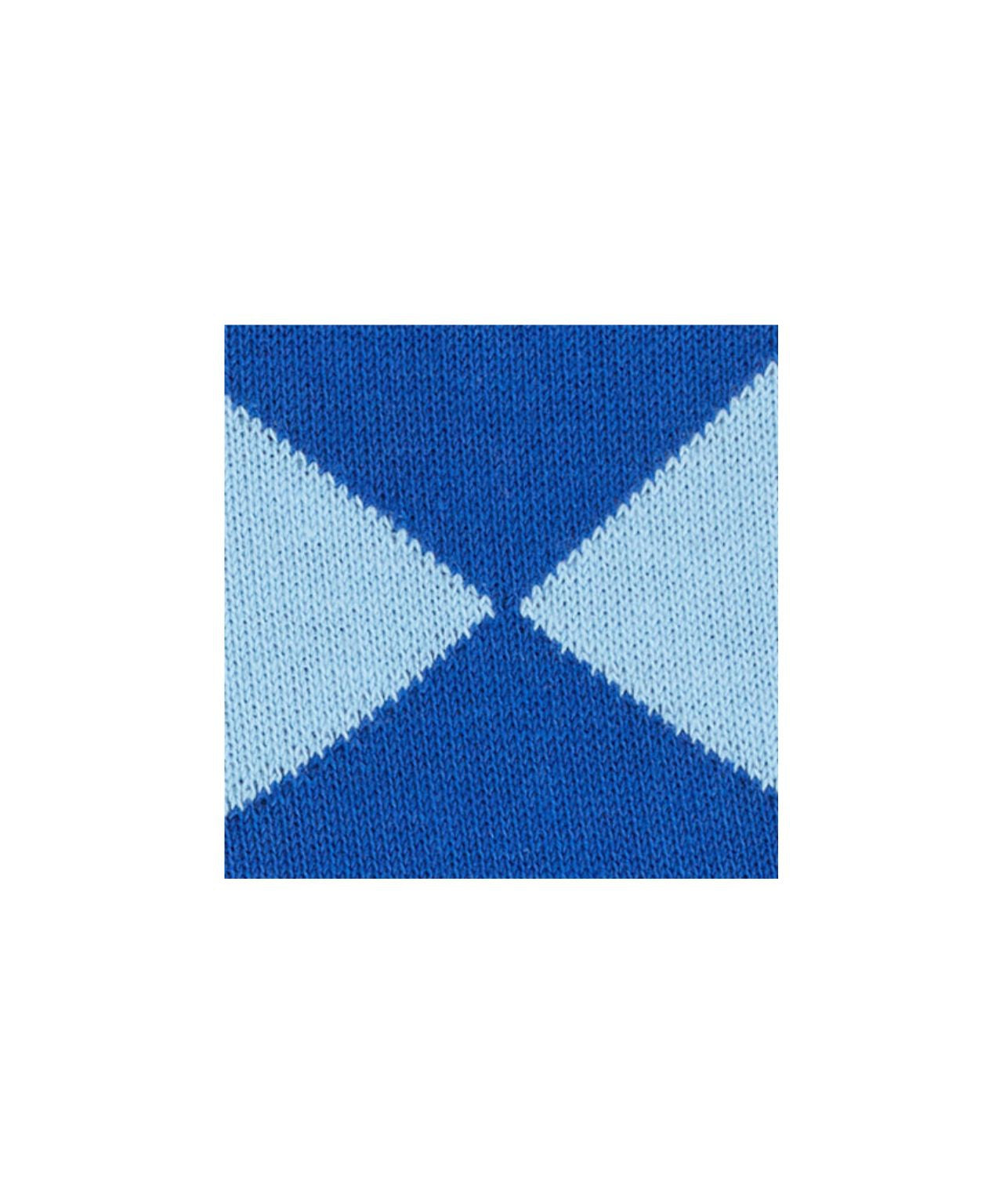 Sok Clyde | Navy/Blue check