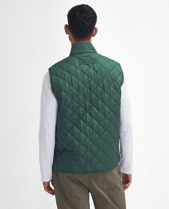 Barbour New Lowerdale Gilet | Groen