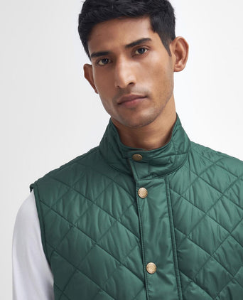 Barbour New Lowerdale Gilet | Groen