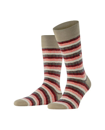 Burlington Signature Stripe | Bruin