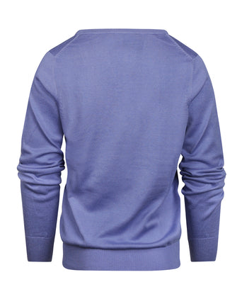 Basic Dames V-hals Pullover Katoenmix | Paars