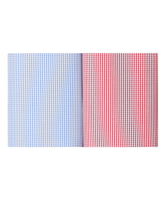 Zakdoek 2-Box | Micro ruit Lichtblauw/Rood