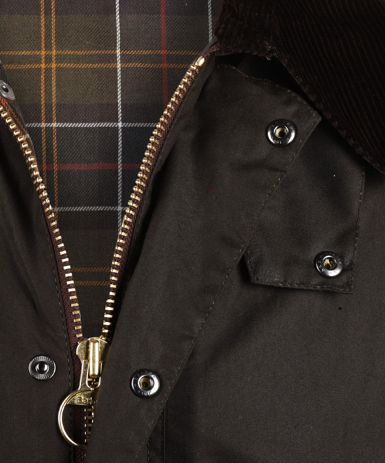 Waxjas Bedale | Olive