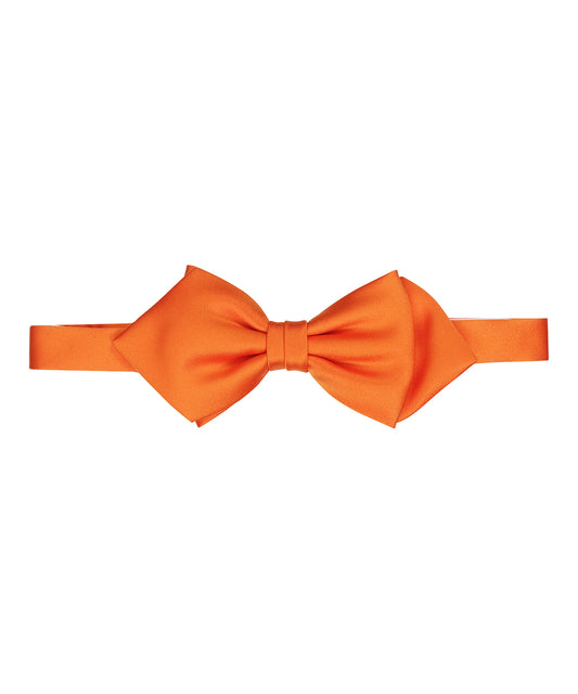 Feestelijke Strik | Oranje