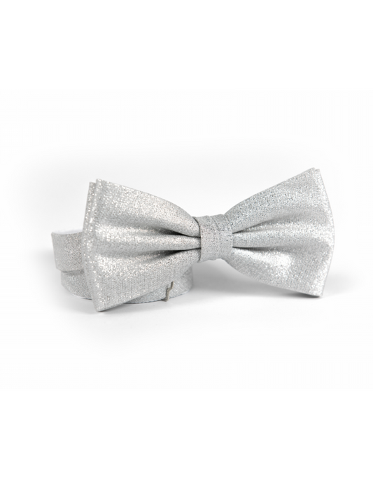 Feestelijke Strik | Zilver