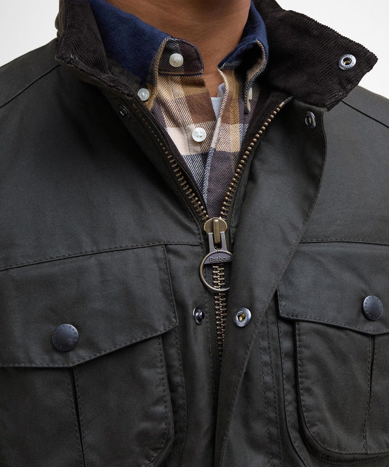 Jack Corbridge | Olive