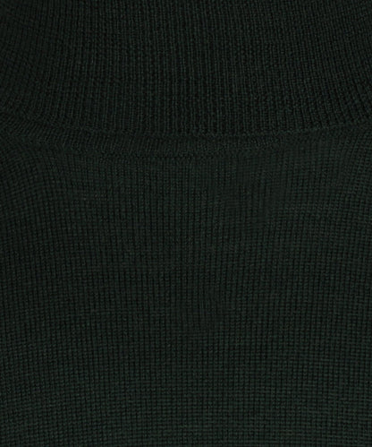 Merino Roll Neck Pullover | Fles Groen