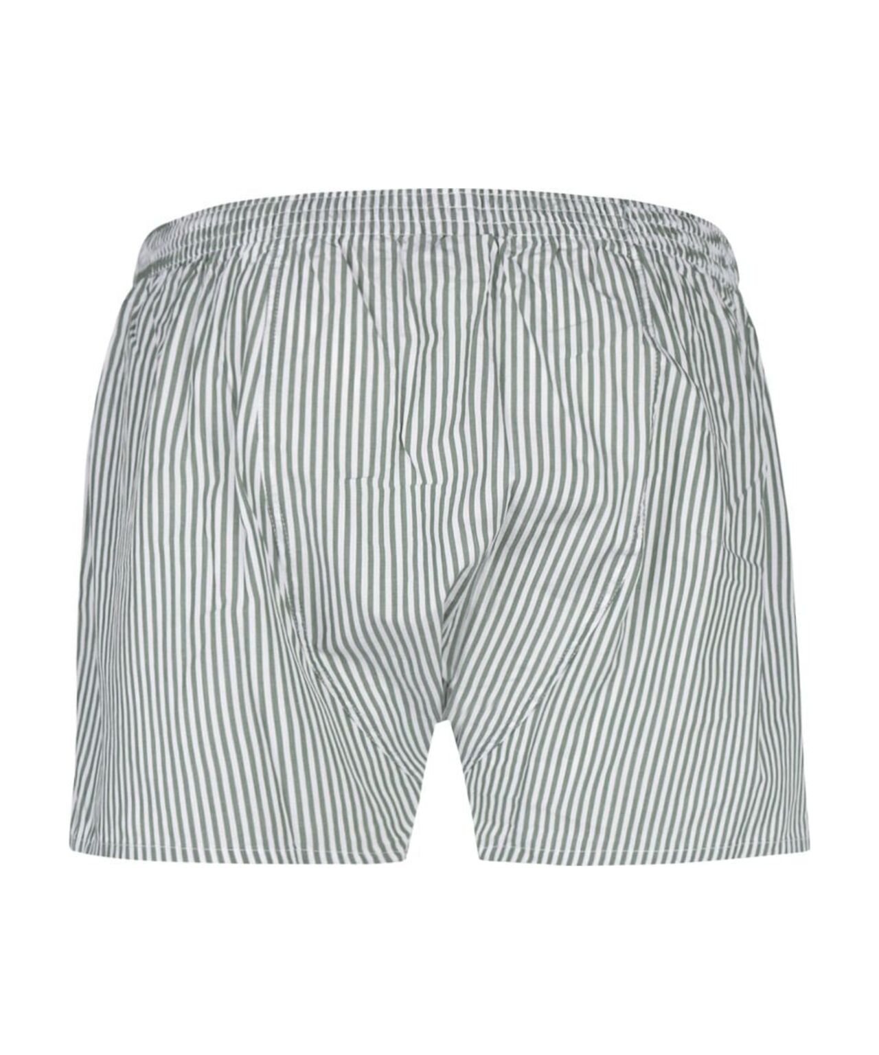 Luxury Boxer Shorts | Green