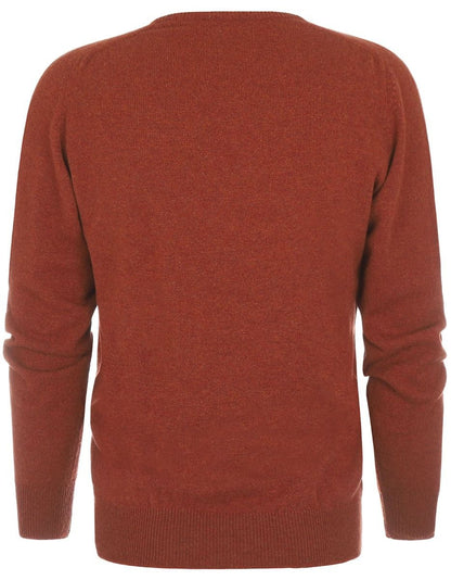 Pullover mit V-Ausschnitt aus Lammwolle *Sale* | Tiger