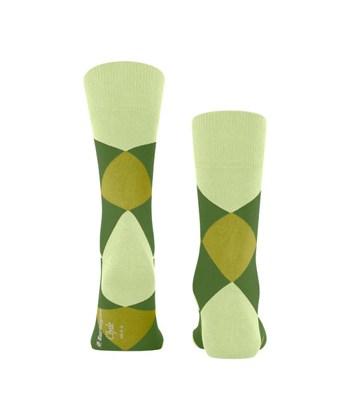 Clyde heren sokken | Groen