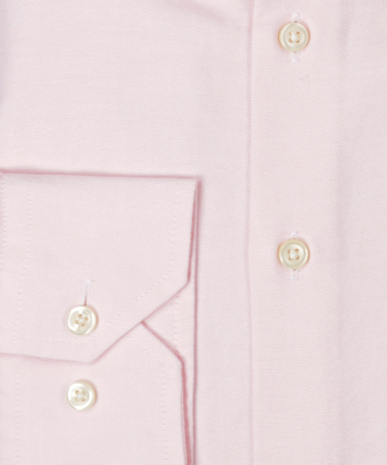 Shirt Oxford Button Down | Roze