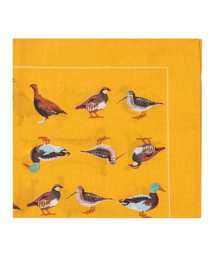 Taschentuchvögel | Orange